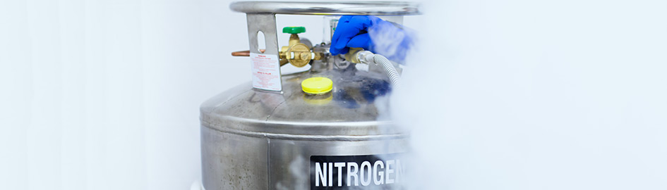 Nitrogen - Acail Gás